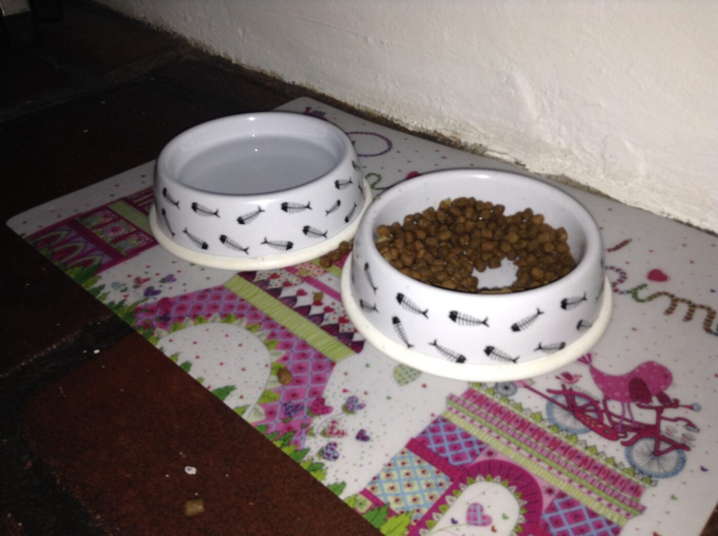dry cat food and water bowls for planning automatic feeder capacity