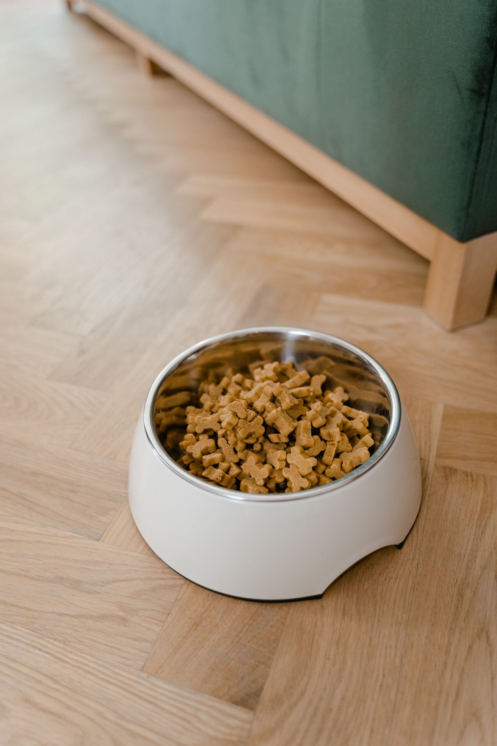 Dry pet food bowl for automatic pet feeder buying guide