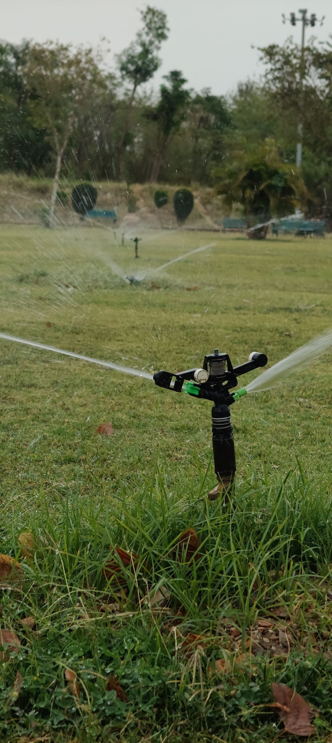 Sprinkler irrigation operating across green grass